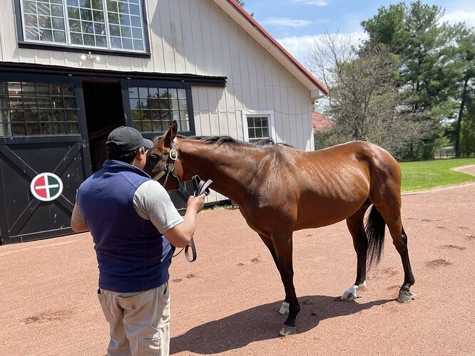 Afleet Alex 1