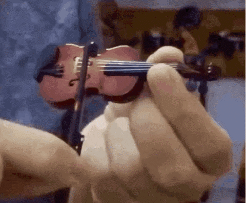 violin